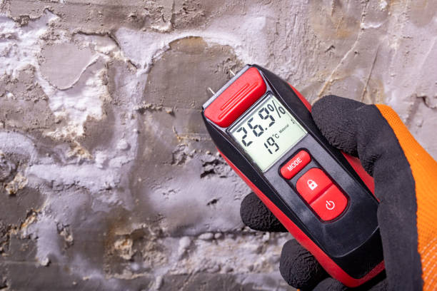 Best Insurance-Related Mold Remediation in West Lafayette, OH